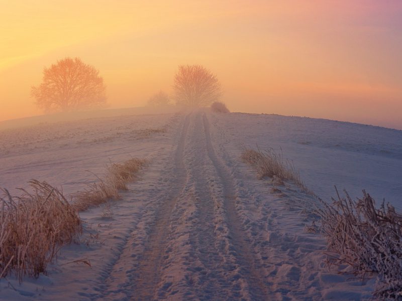 winter way, snow, sunrise